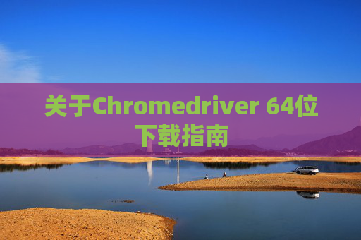 关于Chromedriver 64位下载指南